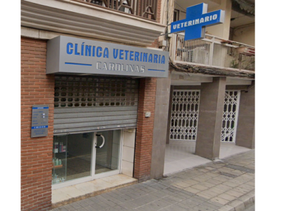 Clínica Veterinaria Carolinas (Alicante)