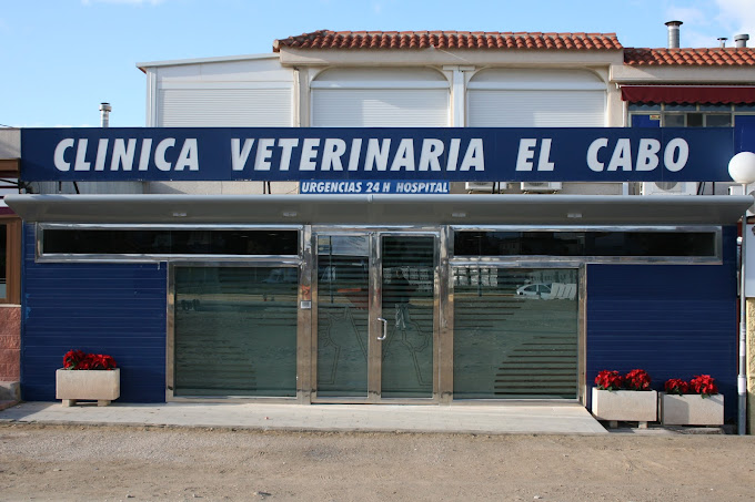 Medivet 24 Horas El Cabo (Alicante)