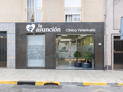 Clínica Veterinaria La Asunción (Elx / Elche)