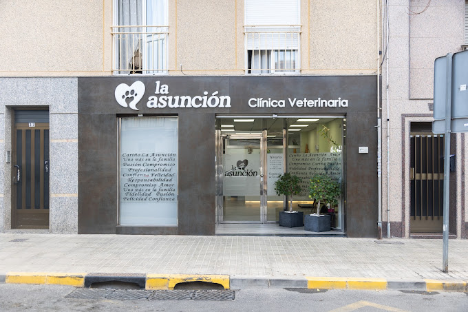 Clínica Veterinaria La Asunción (Elx / Elche)