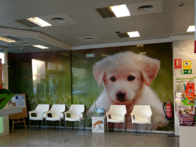 Veterinaria Helike (Elx / Elche)