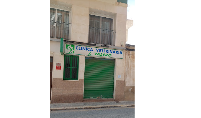 Veterinaria Valero (Elx / Elche)