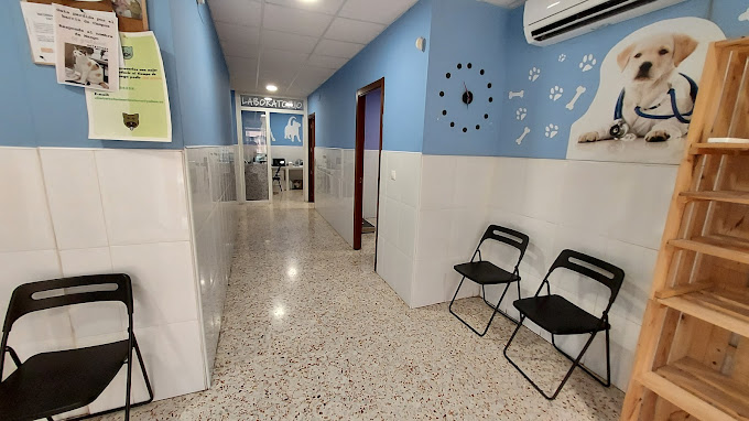 Clínica Veterinaria El Arca (Ibi)