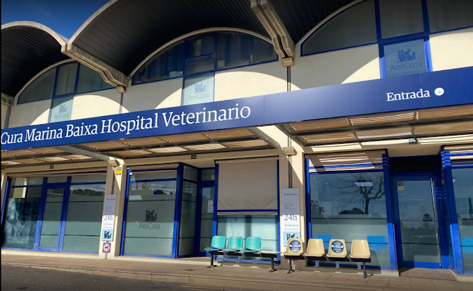 AniCura Marina Baixa Hospital Veterinario (Alfaz del Pi / L'Alfàs del Pi)