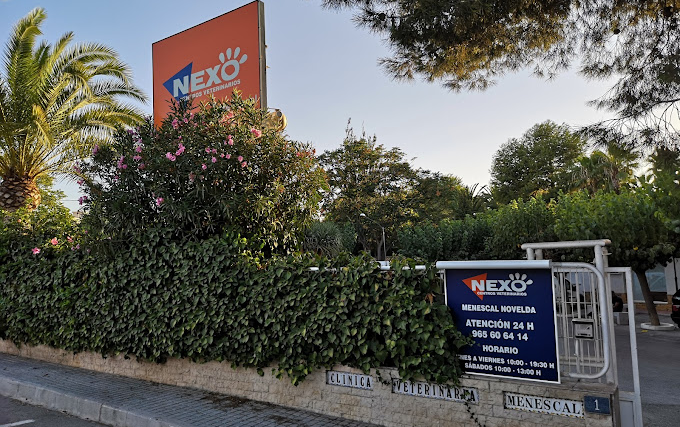 Nexo Menescal (Novelda)