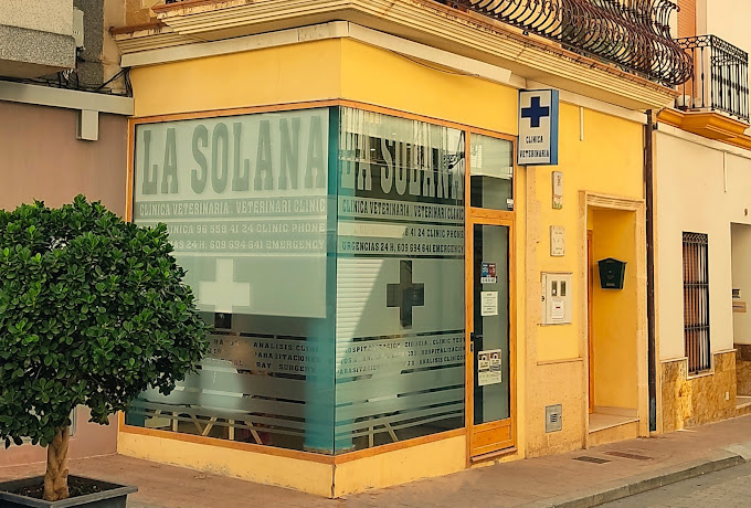 Clínica Veterinaria la Solana (Orba)