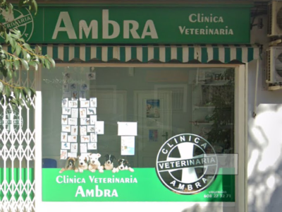 Clínica Veterinaria Ambra (Pego)