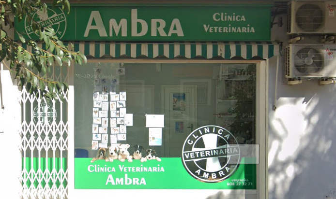 Clínica Veterinaria Ambra (Pego)