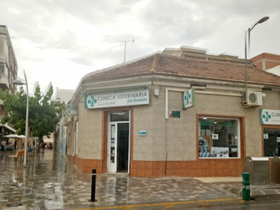 Clínica Veterinaria del Sureste (Pilar de la Horadada)
