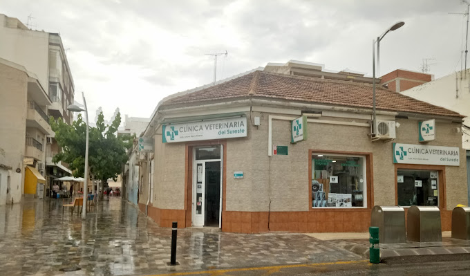 Clínica Veterinaria del Sureste (Pilar de la Horadada)