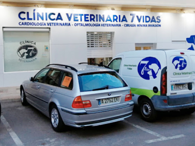 Clínica Veterinaria 7 Vidas (Sant Joan d'Alacant)