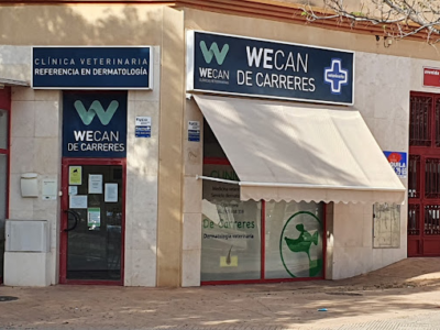 Clínica Veterinaria Wecan De Carreres (Sant Joan d'Alacant)
