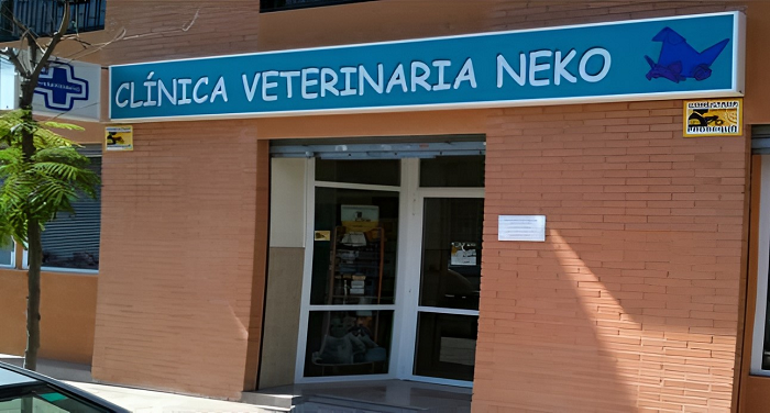 Clínica Neko (San Vicente del Raspeig / Sant Vicent del Raspeig)
