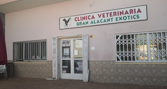Clínica Veterinaria Gran Alacant Exòtics (Santa Pola)