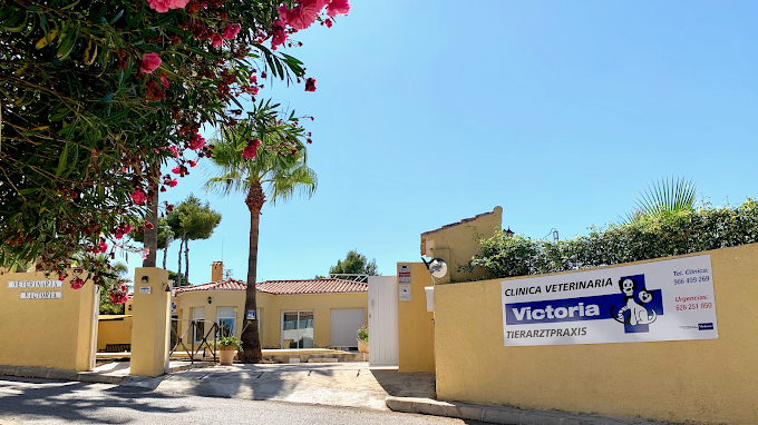 Clínica Veterinaria Victoria (Teulada)