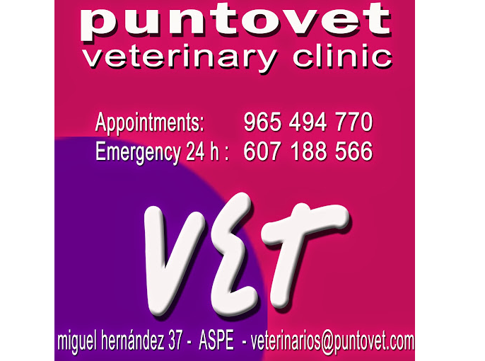 Puntovet Servicios Veterinarios (Aspe)