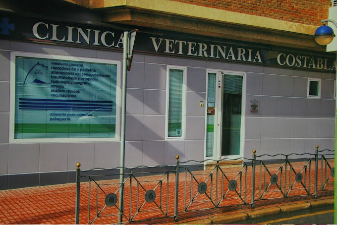 Clínica Veterinaria Costa Blanca (Benidorm)