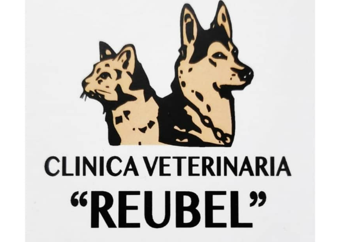 Clínica Veterinaria Reubel (Callosa d'en Sarrià)
