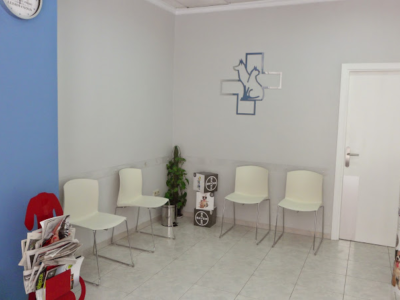 Clínica Veterinaria El Saladar (Denia)