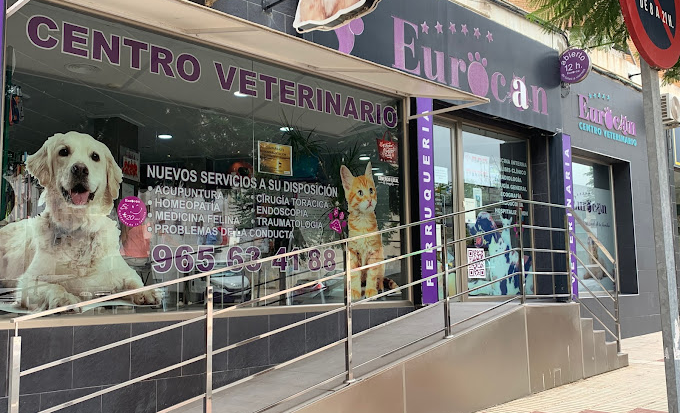 Medivet Eurocan Campello (El Campello)