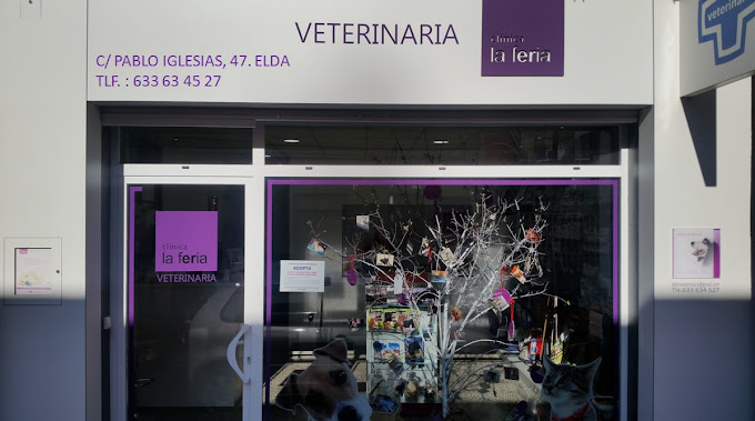 Clínica Veterinaria La Feria (Elda)