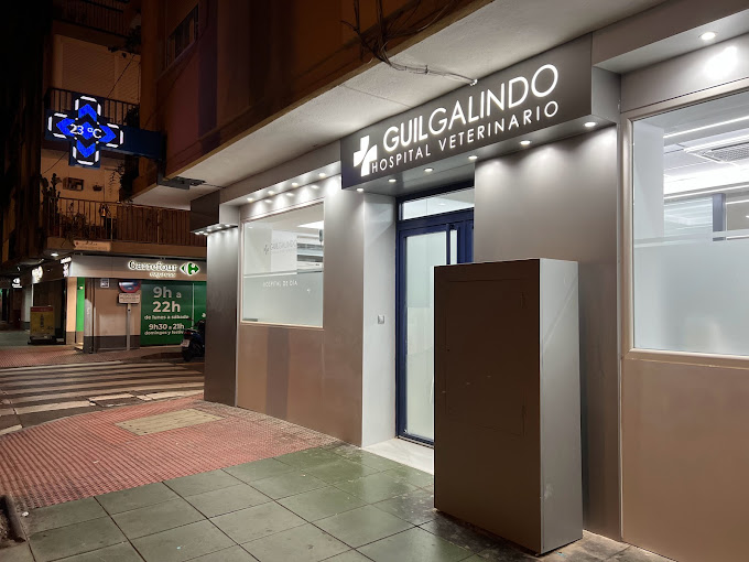Hospital Veterinario Guil Galindo (Almería)
