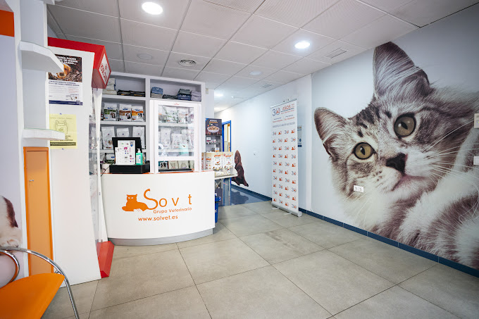 Clínica Veterinaria San Sebastián (Almería)