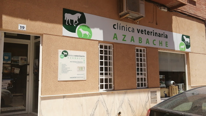 Clínica Veterinaria y Hospital de Día Azabache (El Ejido)