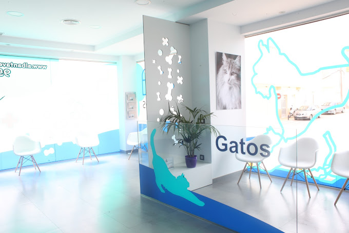 Albanta Veterinarios (Huércal-Overa)