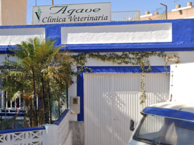 Agave (Roquetas de Mar)