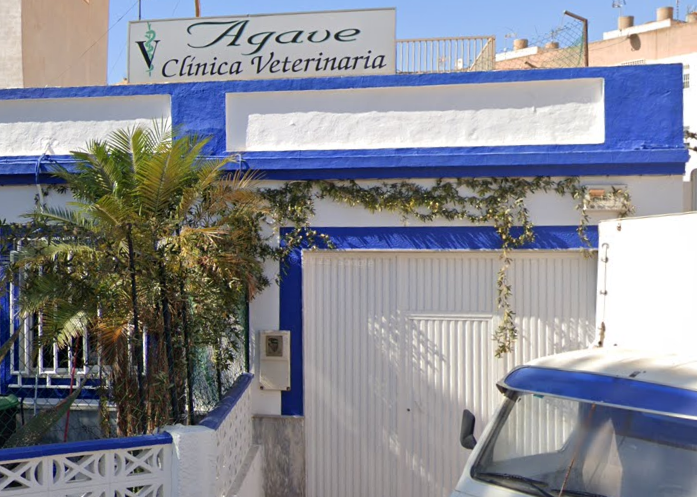 Agave (Roquetas de Mar)