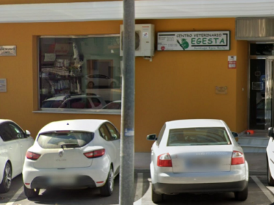 Centro Veterinario Egesta (Vélez-Rubio)