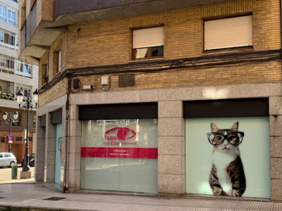 Vission Centro Oftalmológico Veterinario (Oviedo)