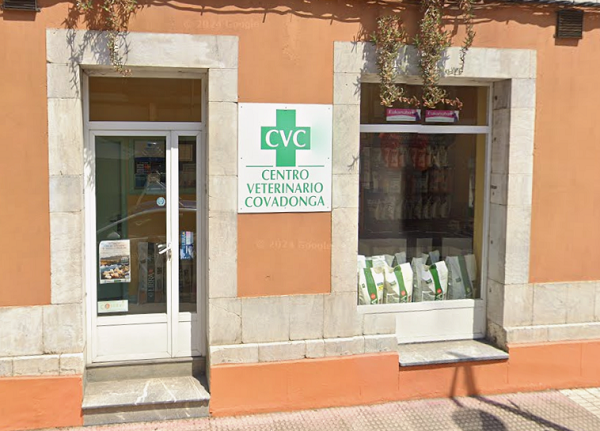 Centro Veterinario Covadonga (Infiesto)
