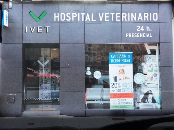Hospital Veterinario Ivet (Ribadesella)