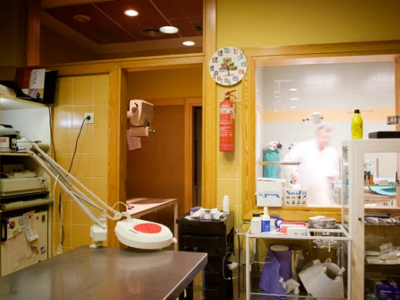 Clínica Veterinaria Antuña (Blimea)