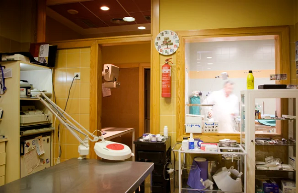 Clínica Veterinaria Antuña (Blimea)