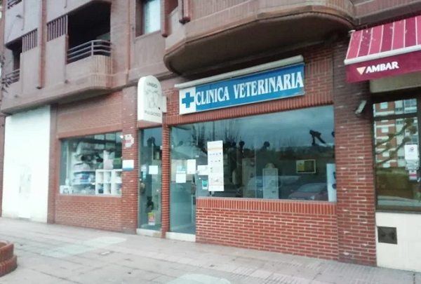 Clínica Veterinaria Lindo Pulgoso (Piedras Blancas)