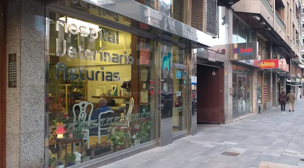 Hospital Veterinario Asturias (Gijón)