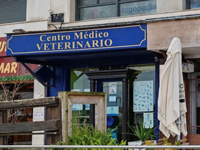 Antonio Parra Rodríguez - Centro Médico Veterinario (Gijón)