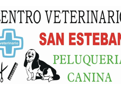 Centro Veterinario San Esteban (Gijón)