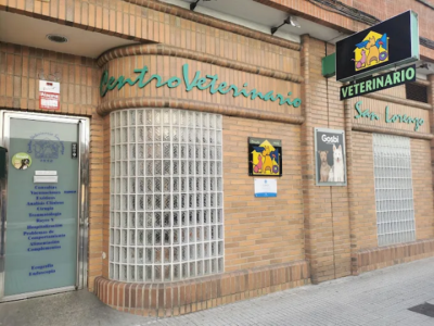 Centro Veterinario San Lorenzo (Gijón)