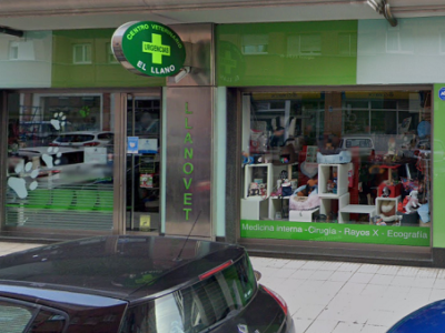 El Llano Clínica Veterinaria (Gijón)