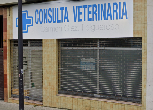 Consulta Veterinaria Carmen González Felgueroso (Gijón)