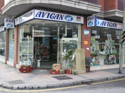 Nativus Avigan (Langreo)