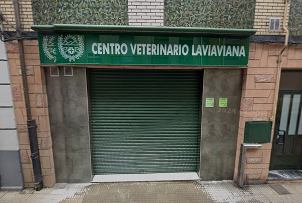 Centro Veterinario Laviana (Pola de Laviana)