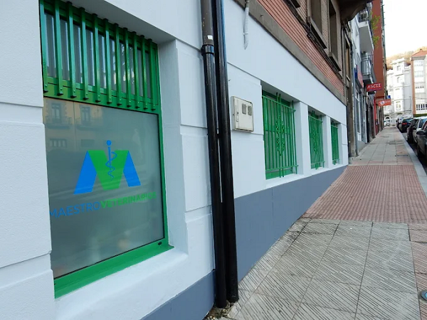 Clínica Veterinaria MaestroVeterinarios (Pola de Lena)