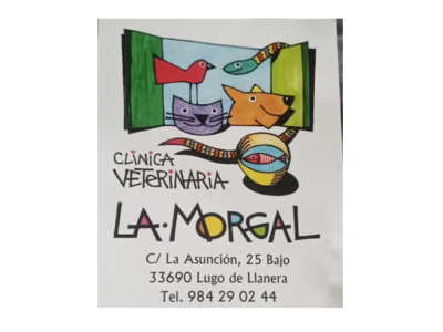 Centro Veterinario La Morgal (Lugo de Llanera)