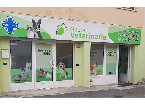 Clínica Nueva Veterinaria (Nueva)