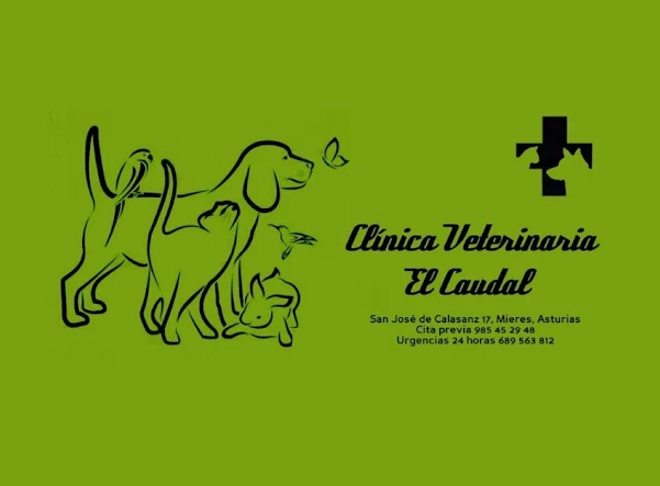 Clínica Veterinaria El Caudal (Mieres)